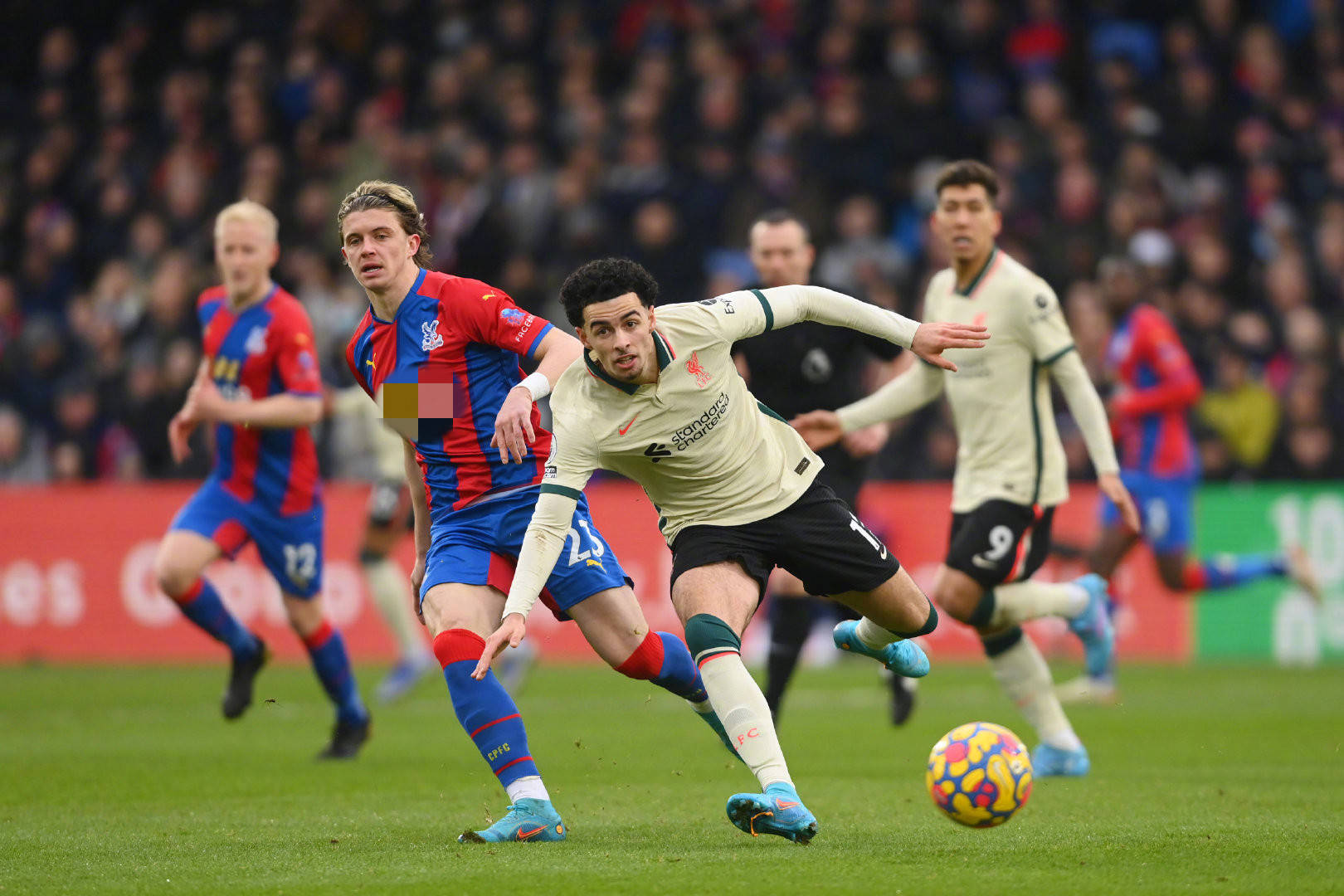 来西亚公开 来西亚公开