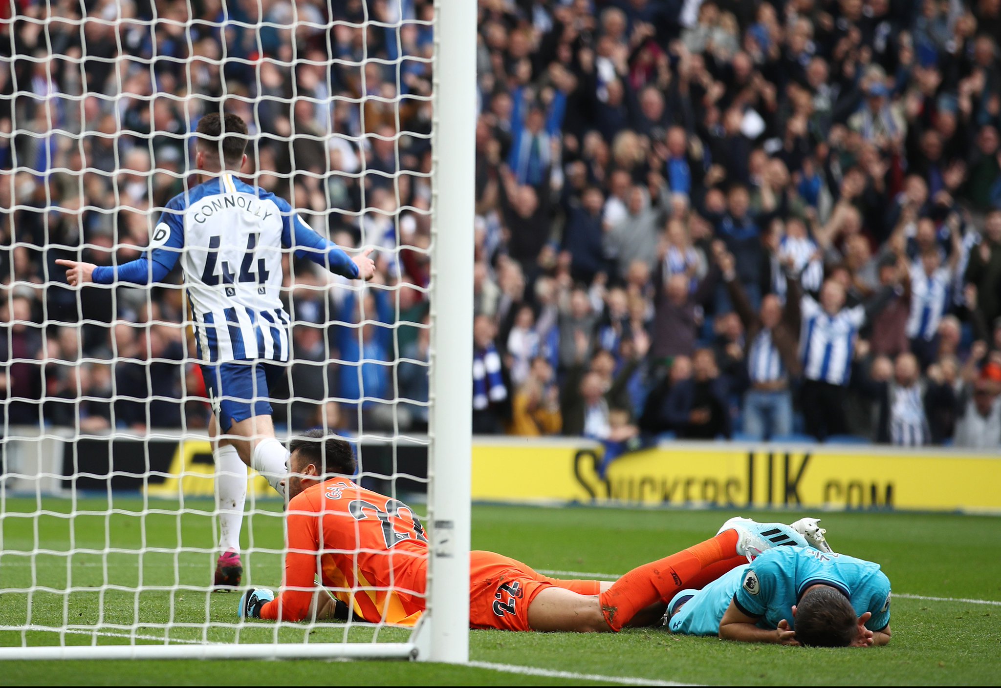 展示出更多 展示出更多